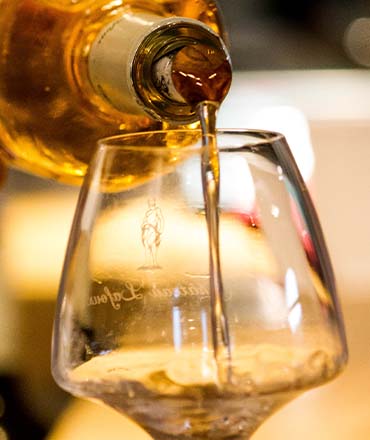 Reserve de La Saurine - IGP Gard – Zuid-Frankrijk 2017/2018