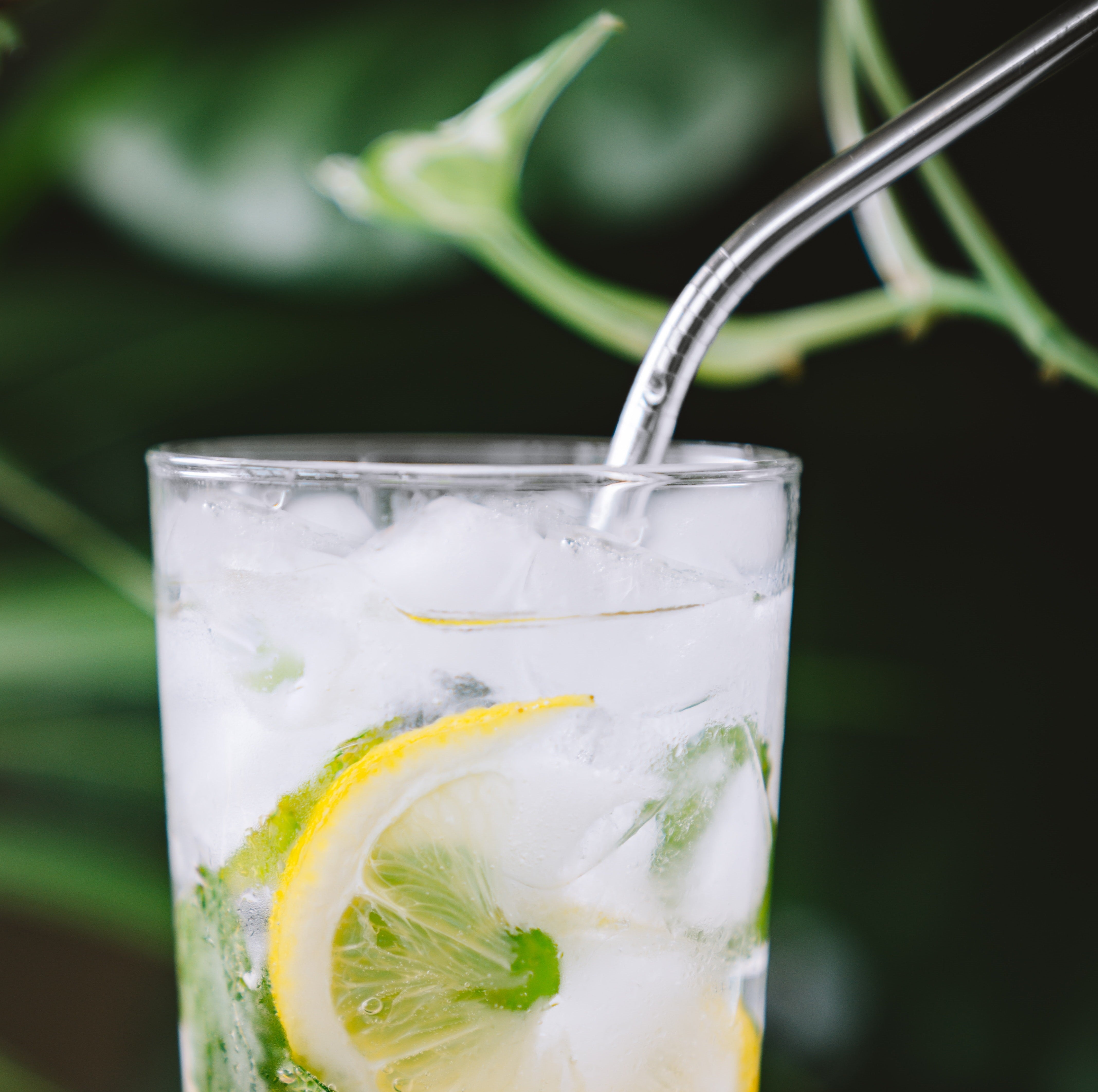 Maak je eigen bruisende limonade