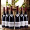Bourgogne Gamay - Vignerons de bel air AOP - 2023