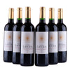 Cháteau Luccius - Lussac Saint-Emilion - 2021