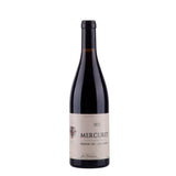 Mercurey - Premier Cru - Les Combins - Jean Dupasquier - 2021