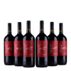 Pronto - Zinfandel - Magnum - 1,5 L - 2023