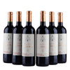 Secret de Clocher - Puisseguin Saint-Emilion - 2020