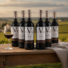 Le Val Oucitan – Lifestyle met originele opstelling